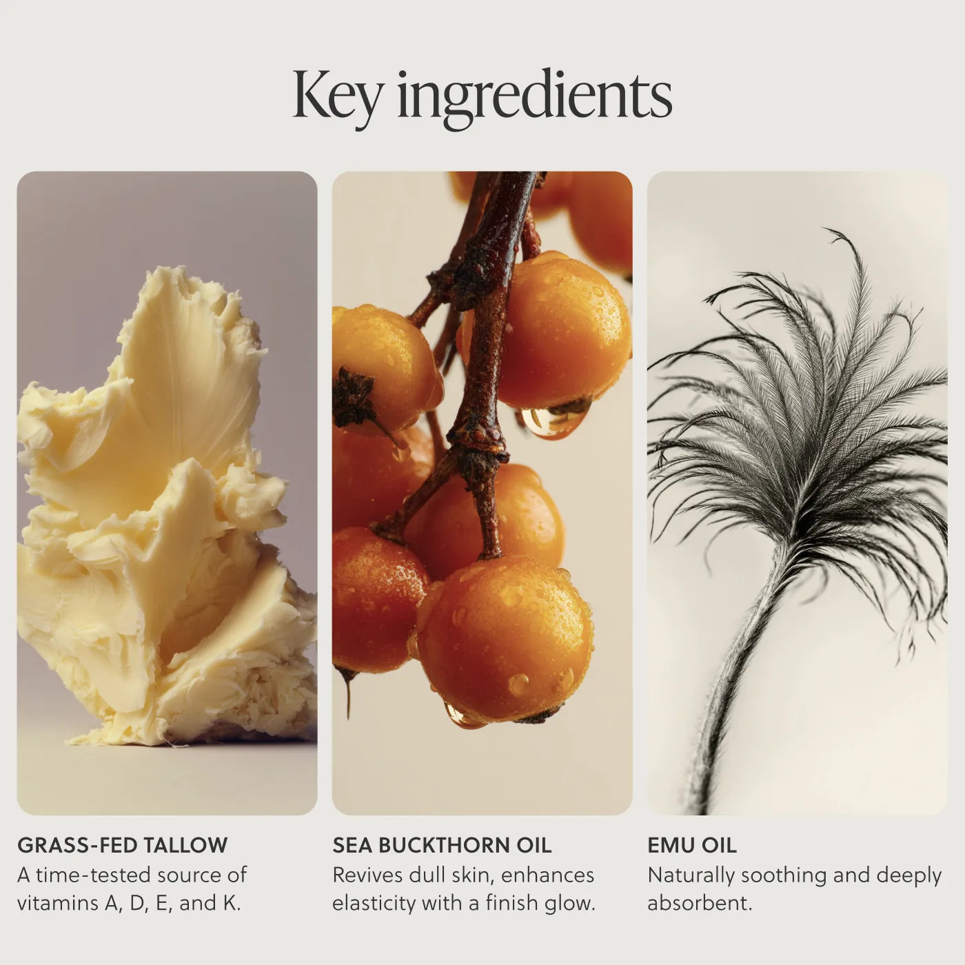 Key ingredients